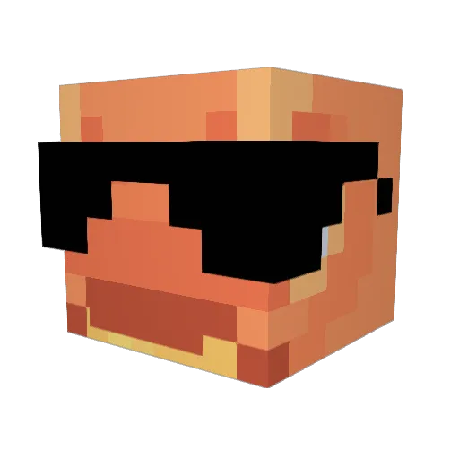 SillyGeck0 Minecraft avatar head, 3D render