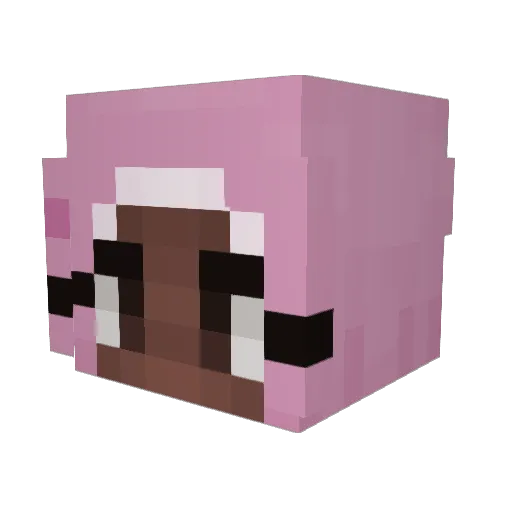 SillyGirlFatima Minecraft avatar head, 3D render