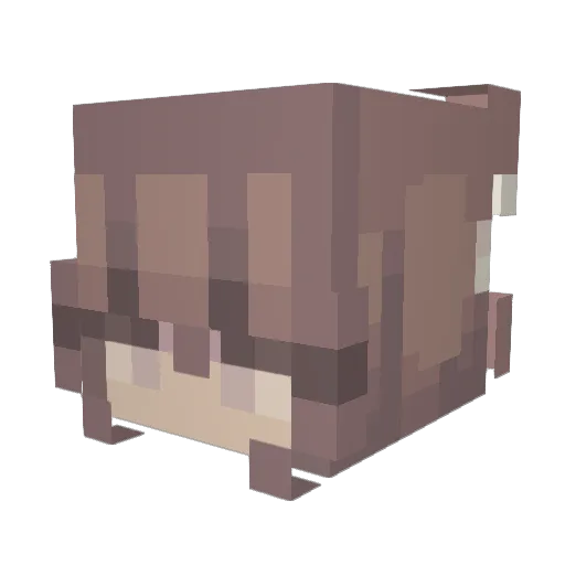 SillyGirlReal Minecraft avatar head, 3D render
