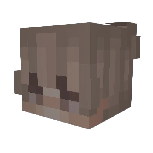 SillyGodDisco Minecraft avatar head, 3D render