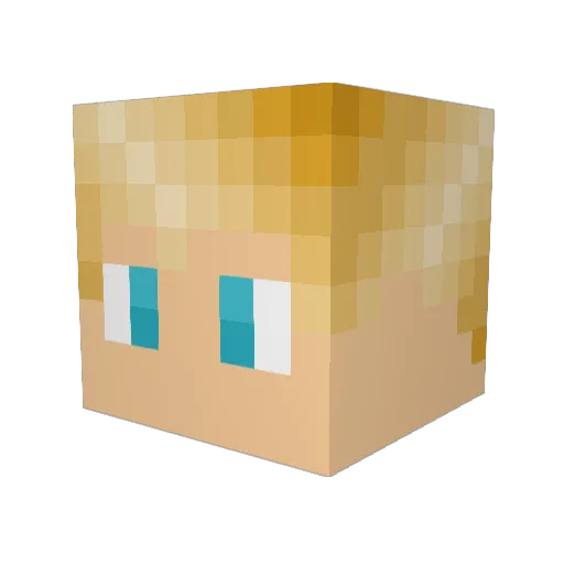 SillyGoose9898 Minecraft avatar head, 3D render