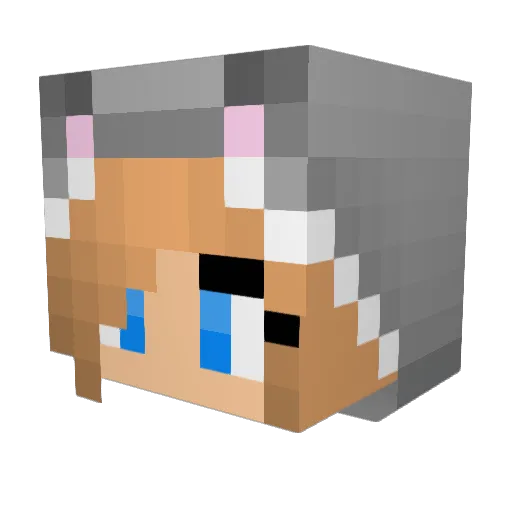 SillyHaley3 Minecraft avatar head, 3D render