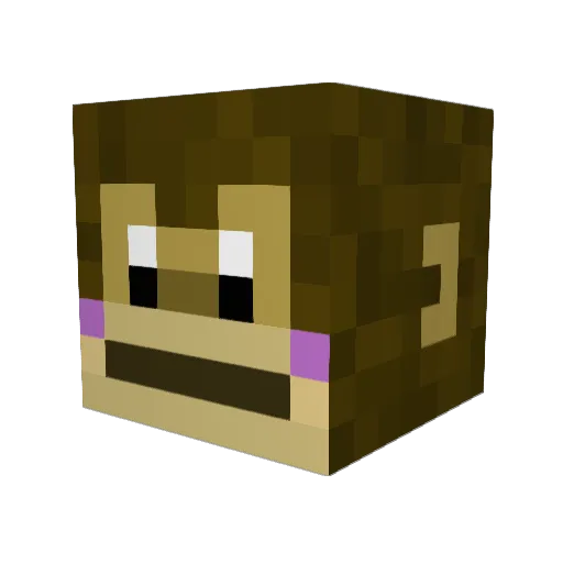 SillyIndividual9 Minecraft avatar head, 3D render