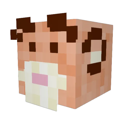 SillyMatty69 Minecraft avatar head, 3D render