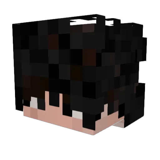 SillyMonkey25 Minecraft avatar head, 3D render