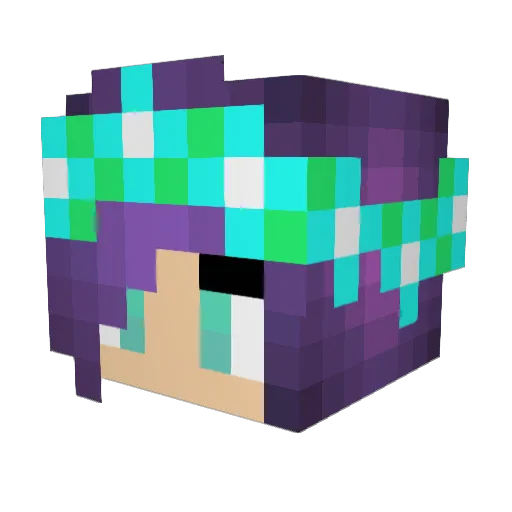 SillyMuddyGoose Minecraft avatar head, 3D render