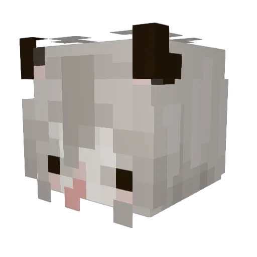 SillyPossum Minecraft avatar head, 3D render