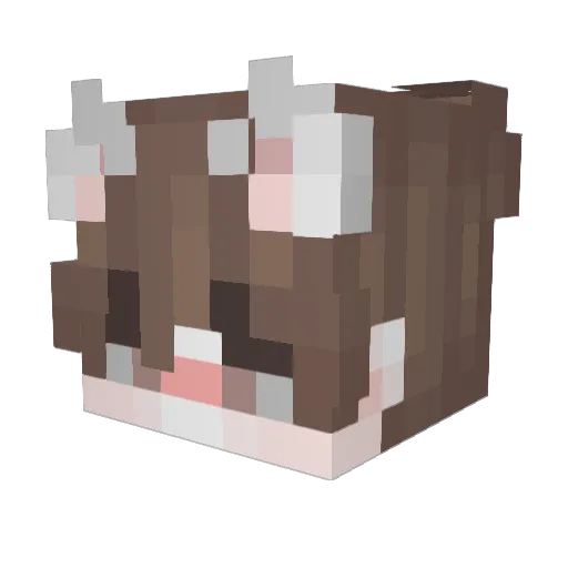 SillyRabbits Minecraft avatar head, 3D render