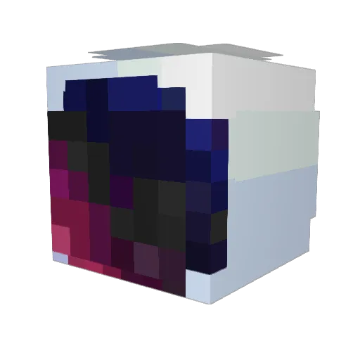 SillySalmon24 Minecraft avatar head, 3D render
