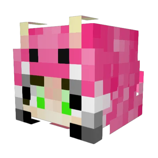 SillyScylla Minecraft avatar head, 3D render