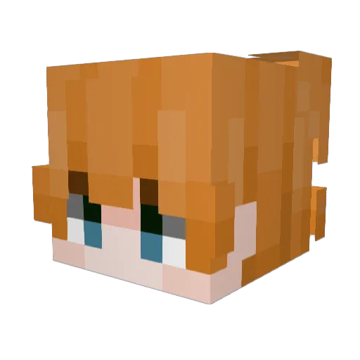 SillySkylar Minecraft avatar head, 3D render