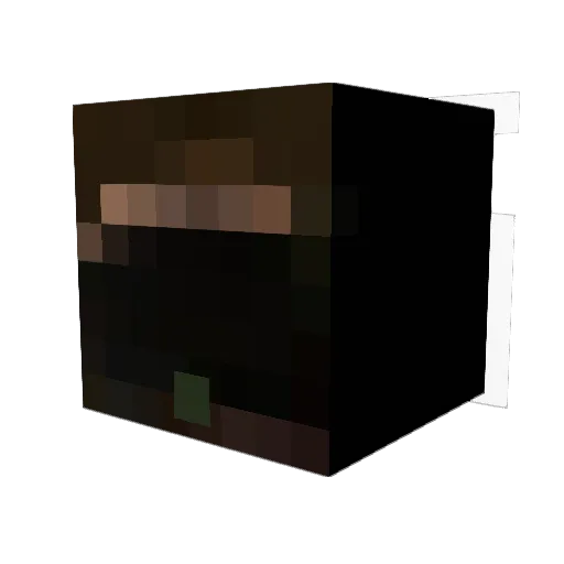 SillySlipper Minecraft avatar head, 3D render