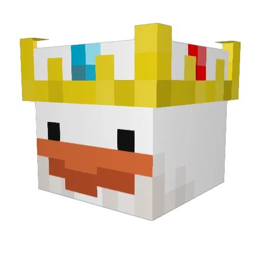 SillySquidyballz Minecraft avatar head, 3D render