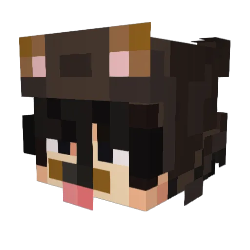 SillySyl Minecraft avatar head, 3D render