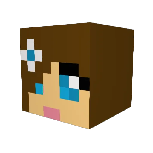 SillyThoughts Minecraft avatar head, 3D render