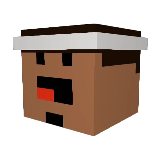 SillyTurtlez101 Minecraft avatar head, 3D render