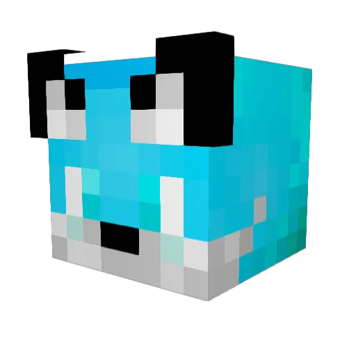 Silly_Aggy Minecraft avatar head, 3D render