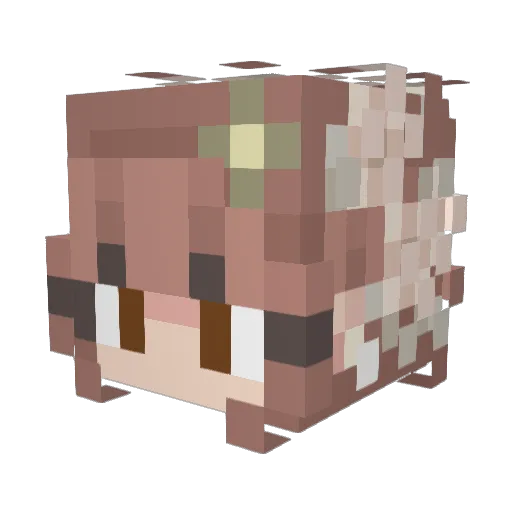 Silly_Archer Minecraft avatar head, 3D render