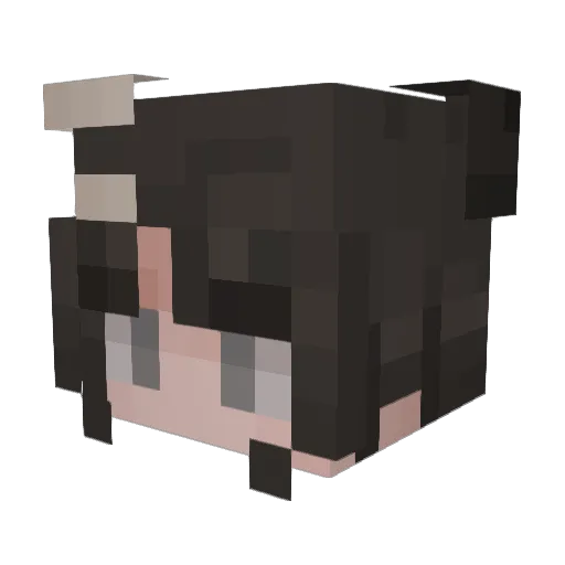 Silly_Dog_0 Minecraft avatar head, 3D render