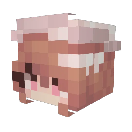 Silly_Gray Minecraft avatar head, 3D render