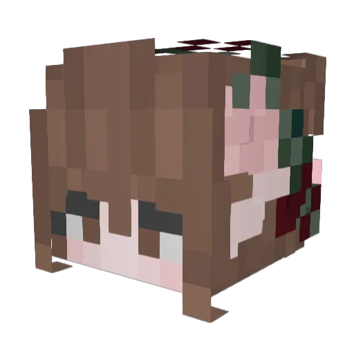 Silly_Julia Minecraft avatar head, 3D render