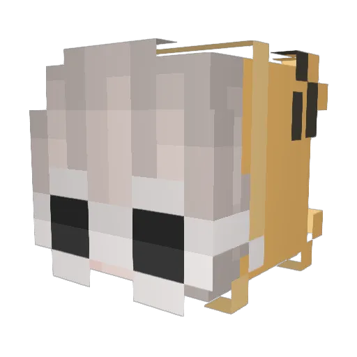 Silly_Slug_ Minecraft avatar head, 3D render