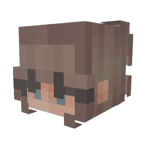 Sillybilly030 Minecraft avatar head, 3D render