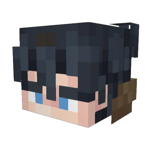 Sillyfartnoise Minecraft avatar head, 3D render
