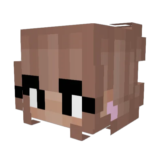 Sillysav11 Minecraft avatar head, 3D render