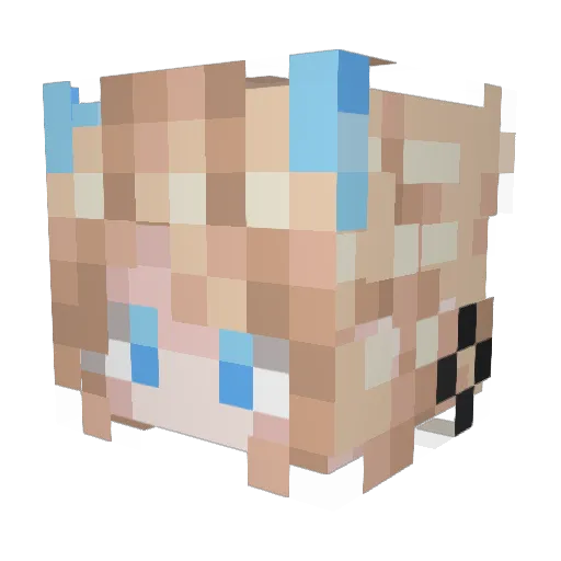 SilmaeTurtle Minecraft avatar head, 3D render
