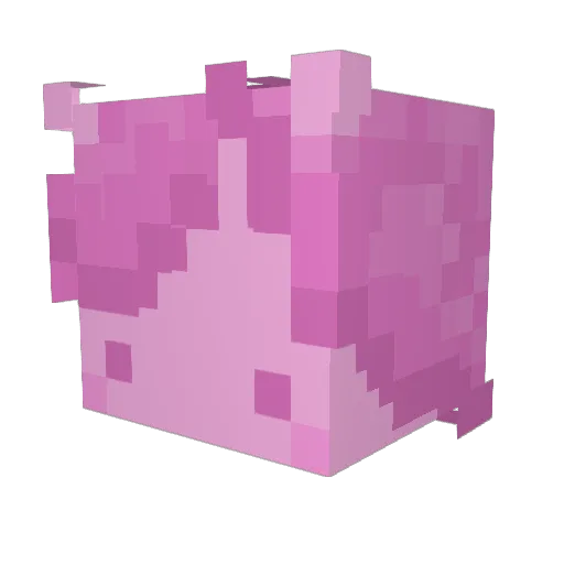 SiloSight Minecraft avatar head, 3D render
