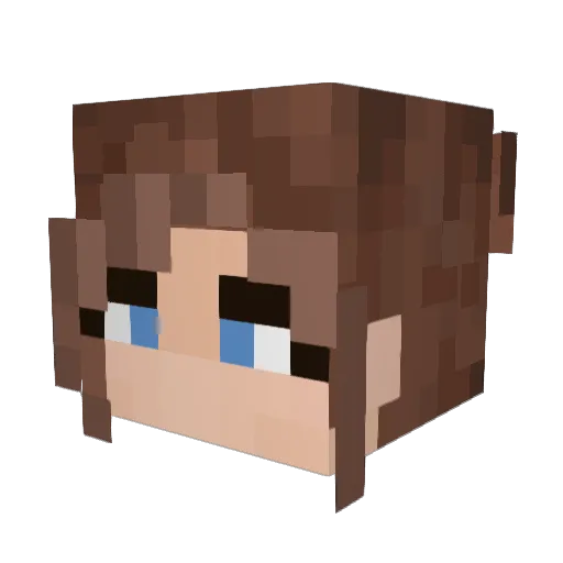 SilvSteel Minecraft avatar head, 3D render