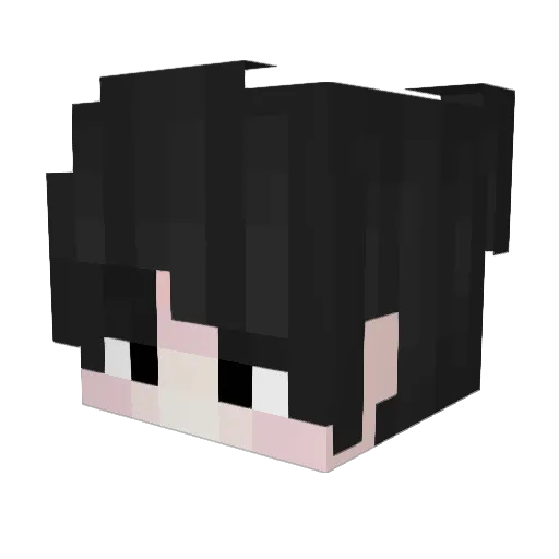 SilvaTremborage Minecraft avatar head, 3D render