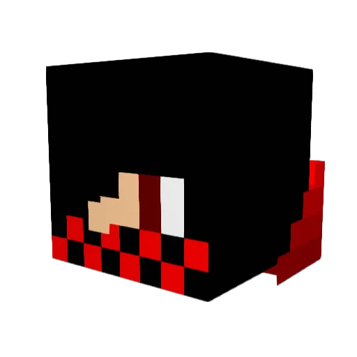 SilvanZockt Minecraft avatar head, 3D render