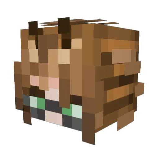 Silvan_Autumn Minecraft avatar head, 3D render