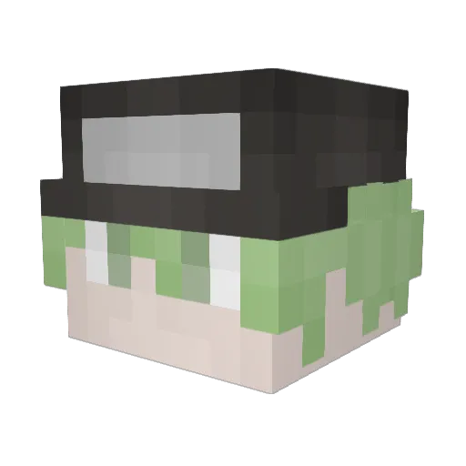 Silver1717 Minecraft avatar head, 3D render