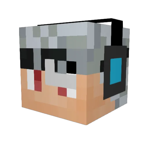 Silver28Hawk Minecraft avatar head, 3D render