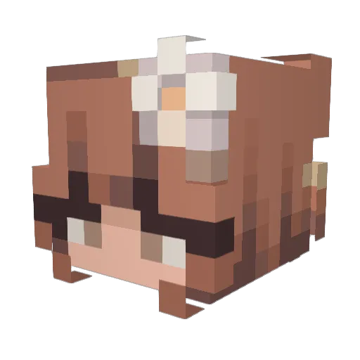 Silver410 Minecraft avatar head, 3D render