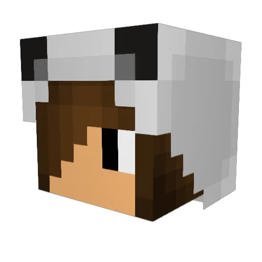 Silver9416 Minecraft avatar head, 3D render