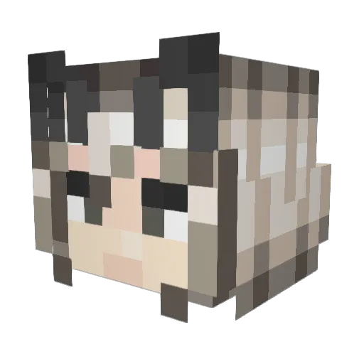 SilverAsh736 Minecraft avatar head, 3D render