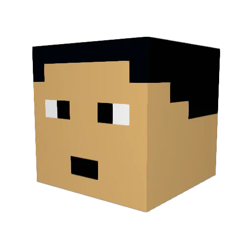SilverAugust20 Minecraft avatar head, 3D render