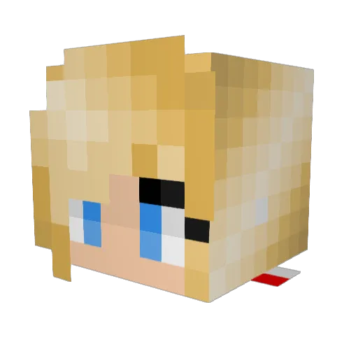 SilverCraig Minecraft avatar head, 3D render