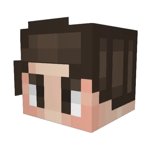 SilverDragon55 Minecraft avatar head, 3D render