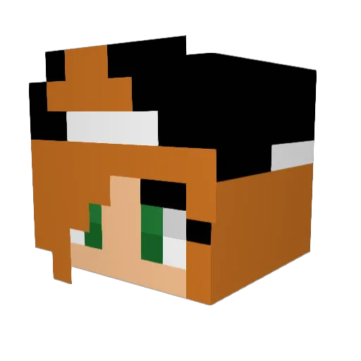 SilverDrop Minecraft avatar head, 3D render