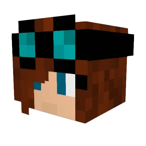 SilverEndOcelot Minecraft avatar head, 3D render