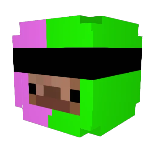 SilverFire311 Minecraft avatar head, 3D render