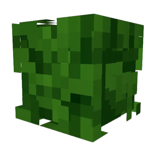SilverFishing Minecraft avatar head, 3D render