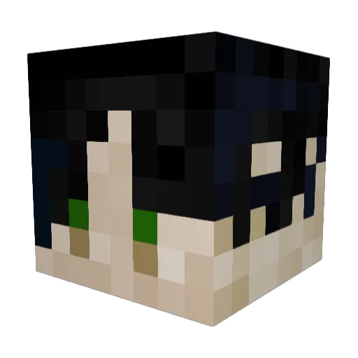 SilverFoxZA Minecraft avatar head, 3D render