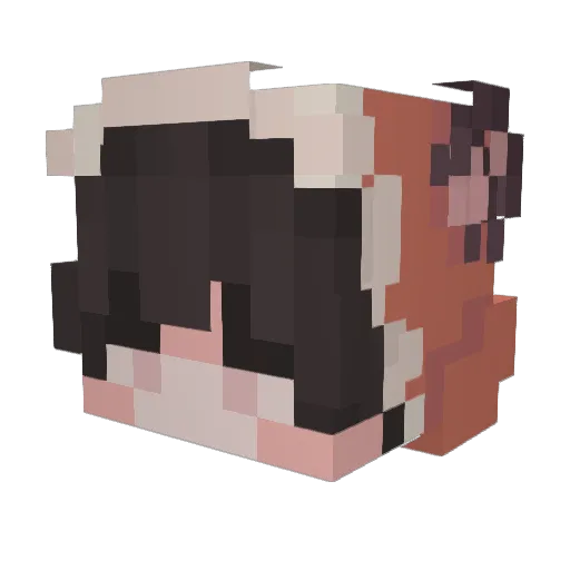 SilverGat Minecraft avatar head, 3D render