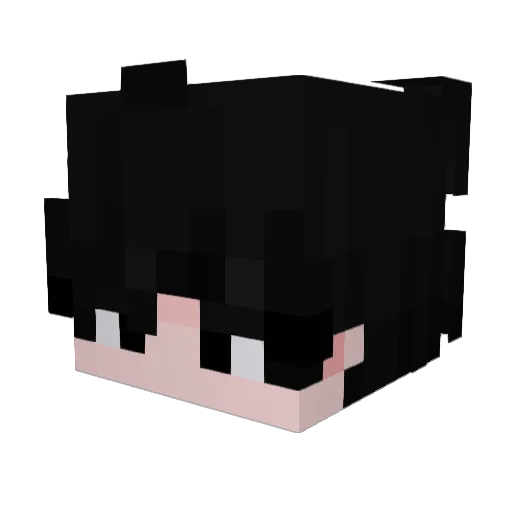 SilverMEXA Minecraft avatar head, 3D render
